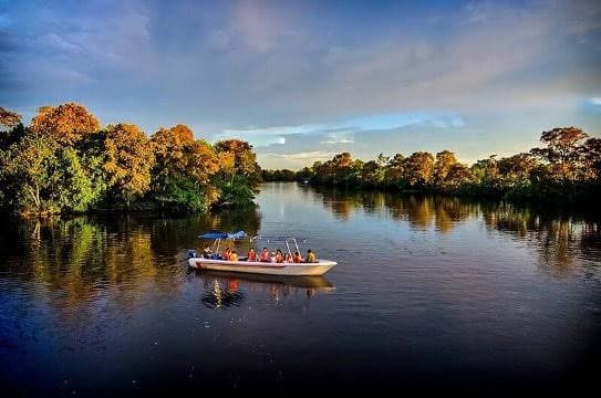 New: Kawa Kawa River Cruise Now Bookable Direct via WhatsApp