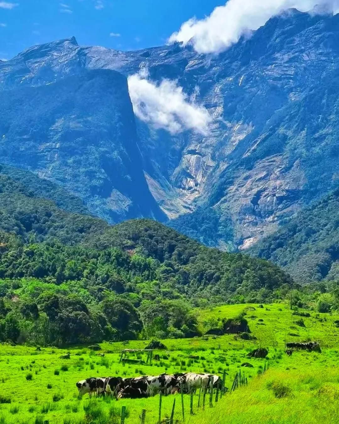 Mt Kinabalu Viewpoint Day Trip